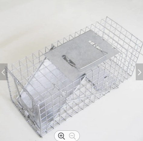 Catch cage for mice