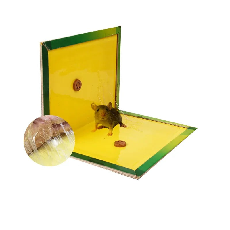 ratten- en muizenlijmplank