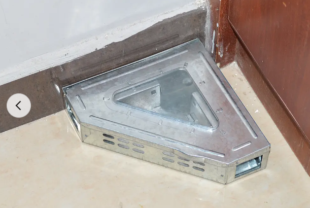 Mousecatcher Triangle