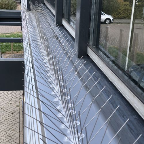 Bird Pins E6 (1 meter)