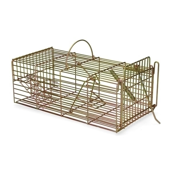 Ratten inloopval
