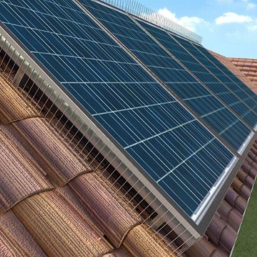 Bird pins for solar panels