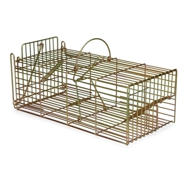 Ratten inloopval