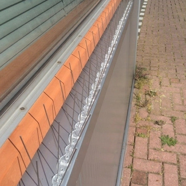 Duivenpinnen U1 (1 meter)