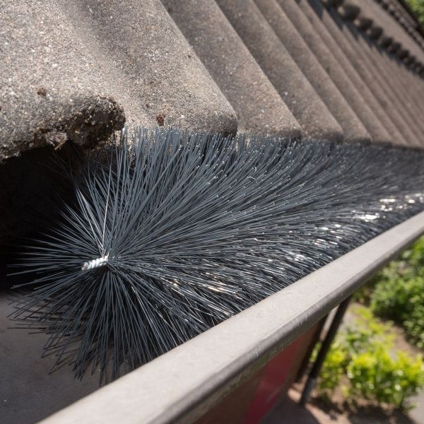 Brush against birds