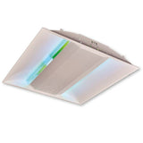 Vliegenlamp plafond