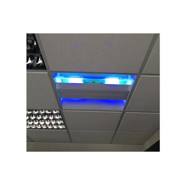 Vliegenlamp plafond