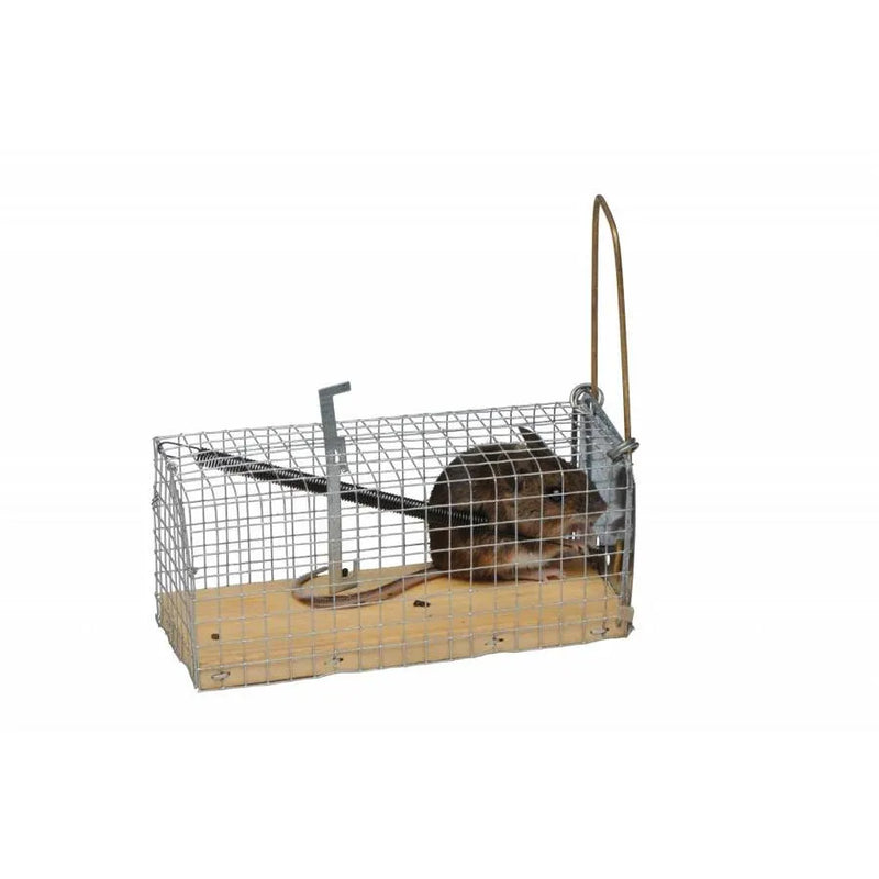 Mice Catch Cage 12x5.5x5.5cm