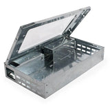 Mouse Catcher For Multiple Mice