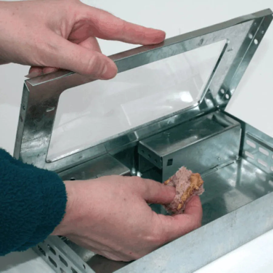 Edialux Multicatch Mousetrap