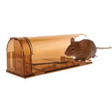 Knock Off Mousetrap Alive