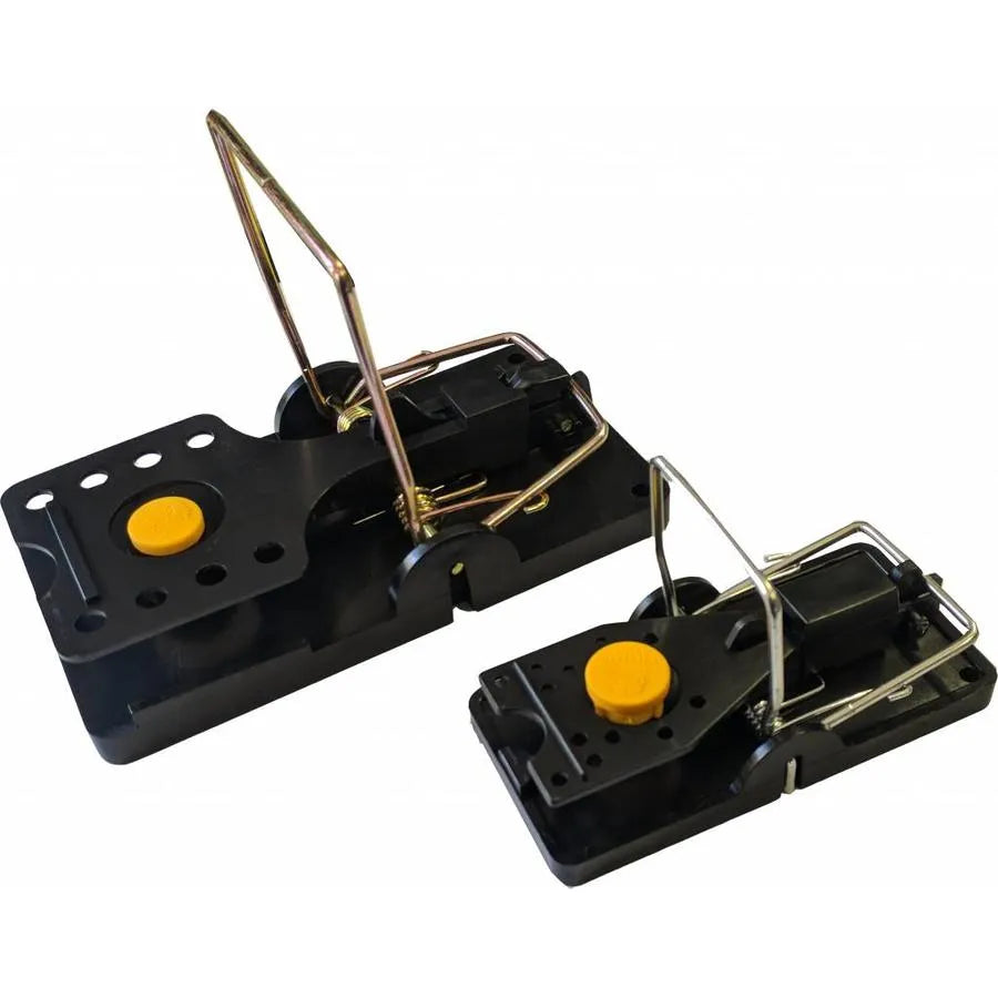 Nara Lure Lokaas mango 100 stuks
