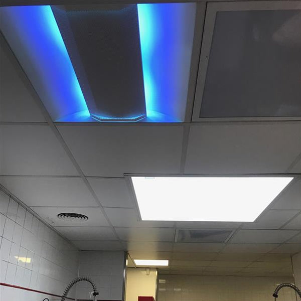 Vliegenlamp plafond